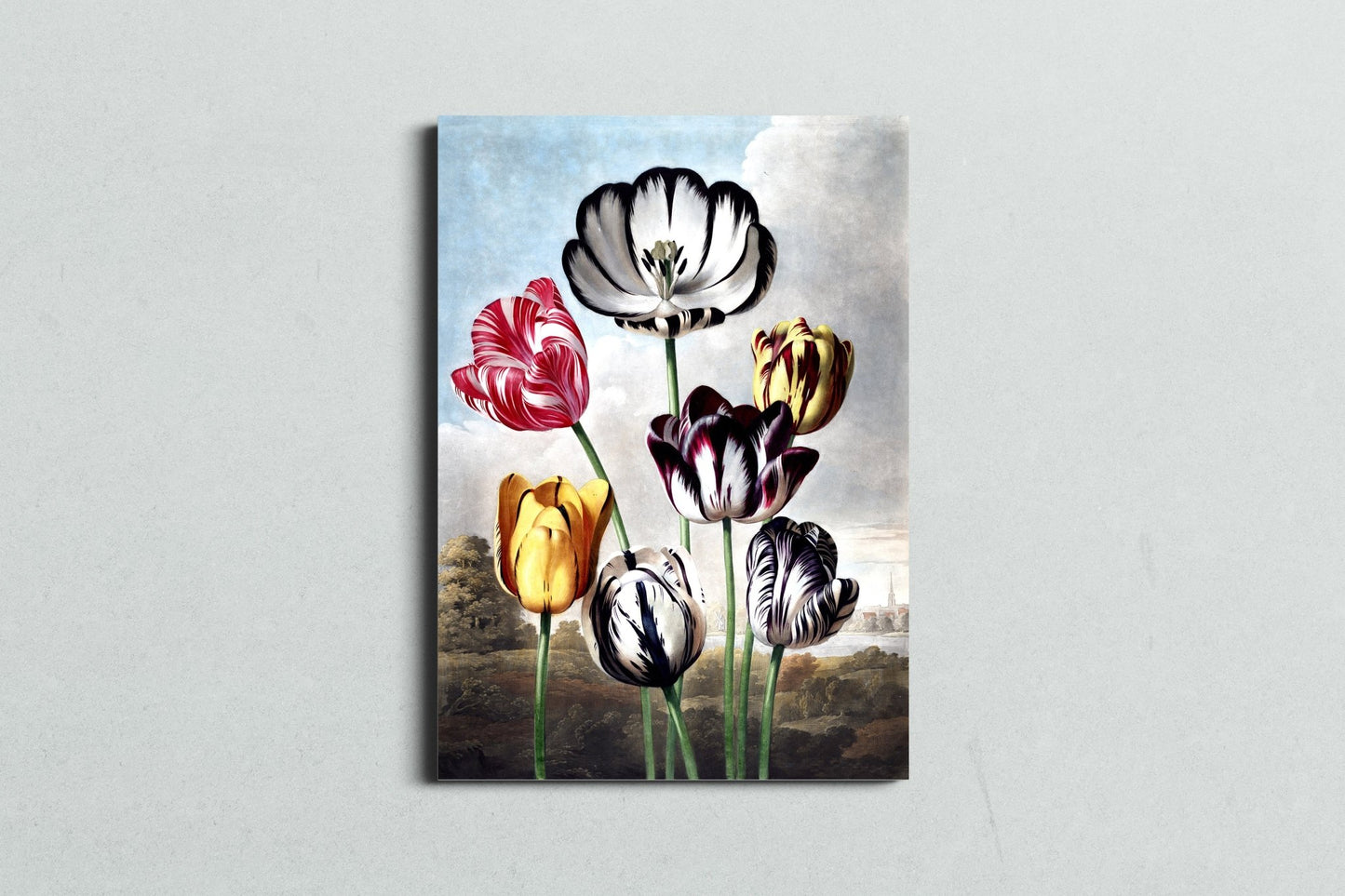Tulip Craze - MySmileTiles