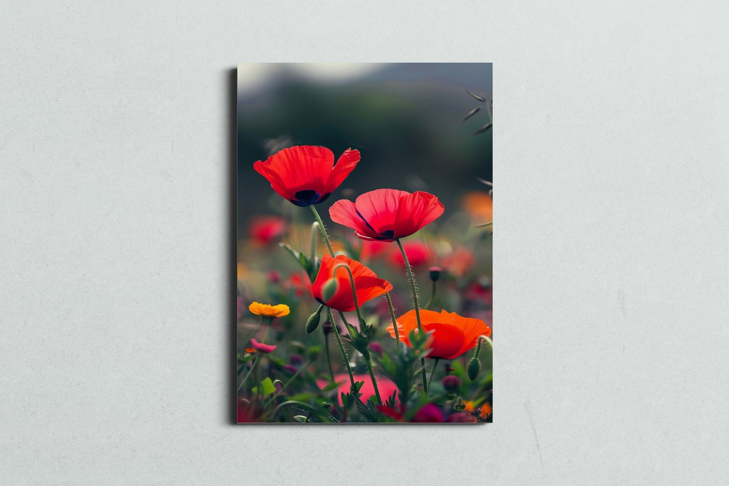 Wild Meadow Poppies - MySmileTiles