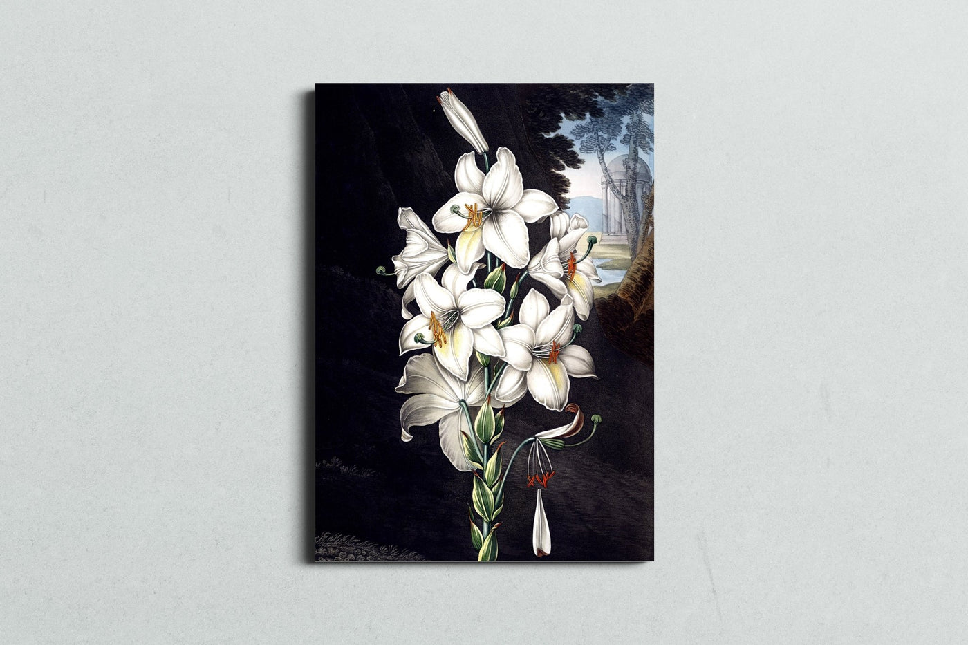 Gothic Lilies - MySmileTiles