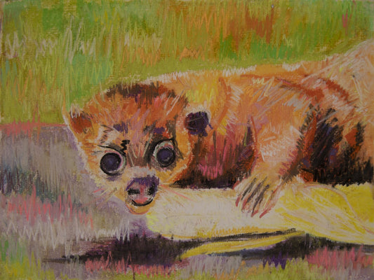 Kevin the Kinkajou - Animal JoyOriginal Art - MySmileTiles