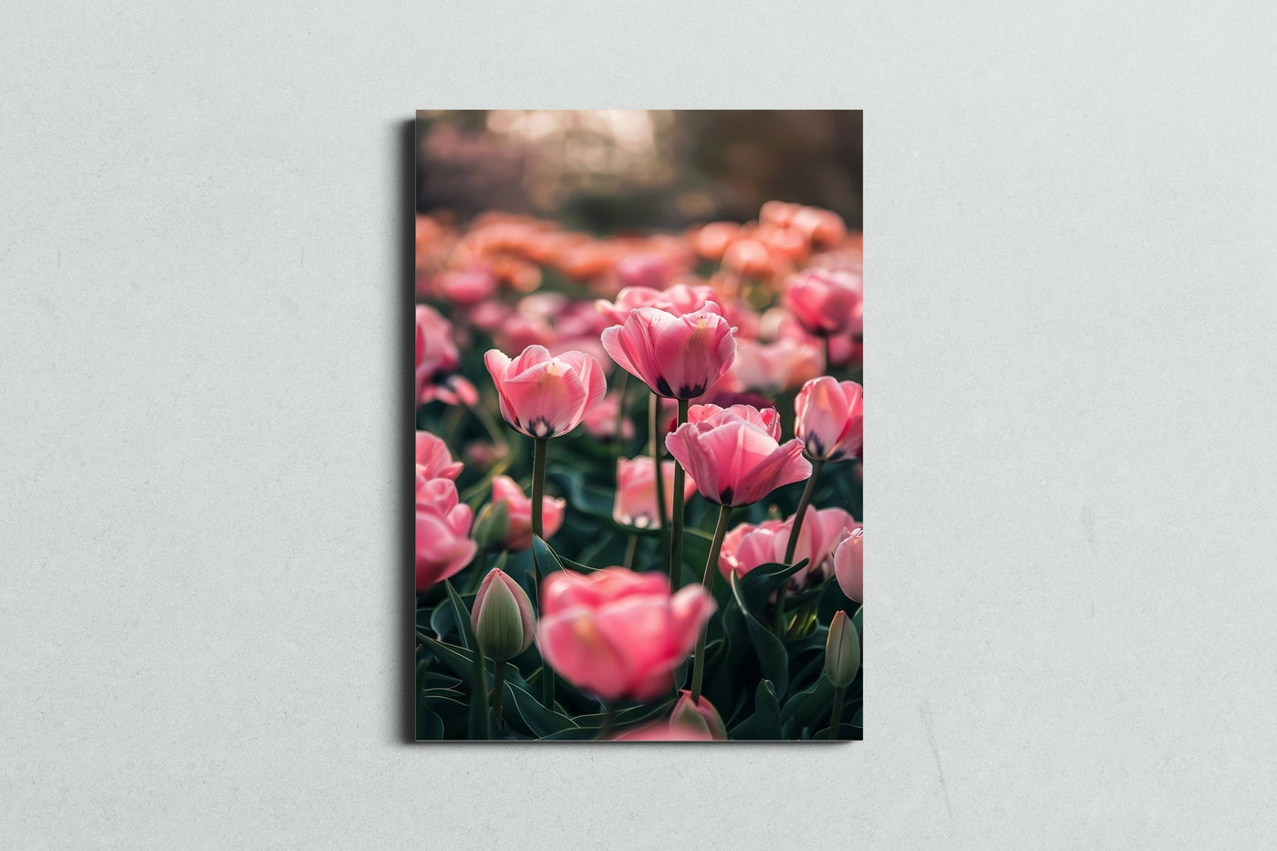 Pink Whisper - MySmileTiles