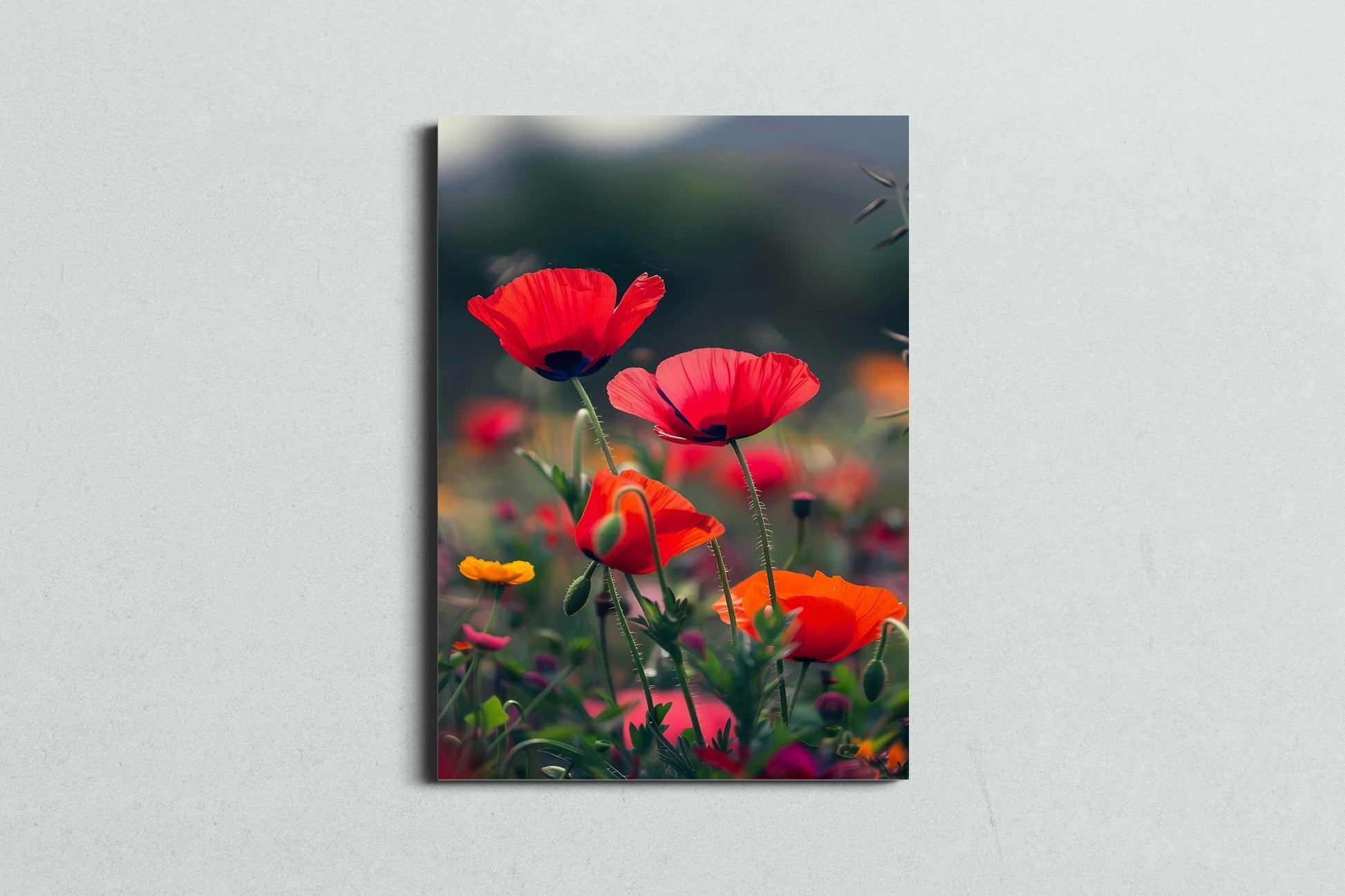 Wild Meadow Poppies - MySmileTiles